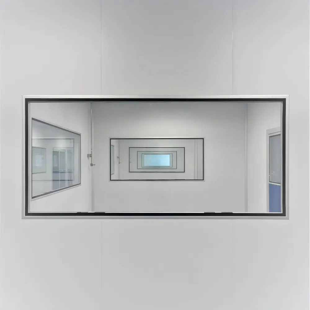 Flush Cleanroom Windows