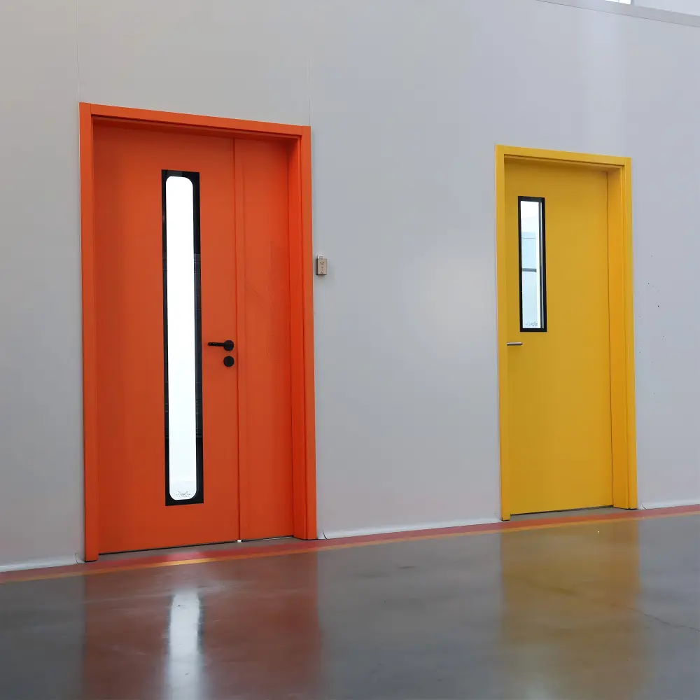 Steel Cleanroom Door
